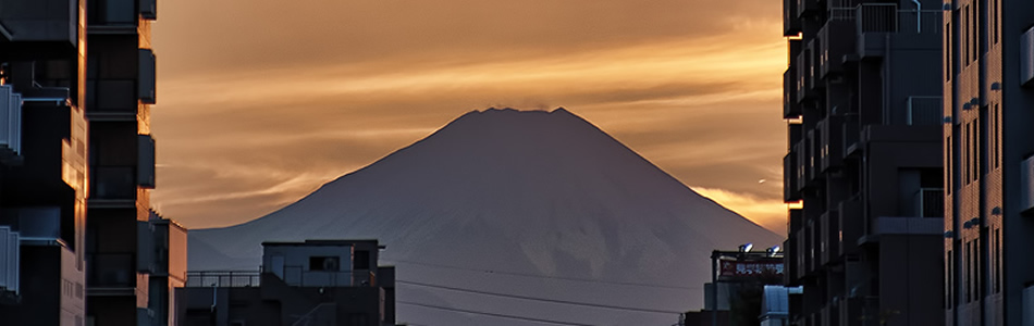 東京東久留米ロータリークラブ